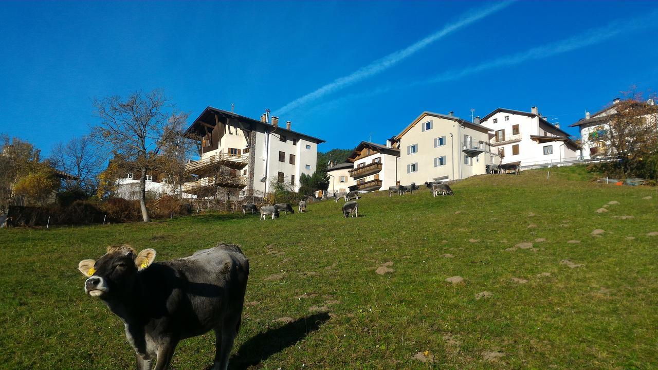 Il Cardo Trentino Apartment Bedollo Exterior photo