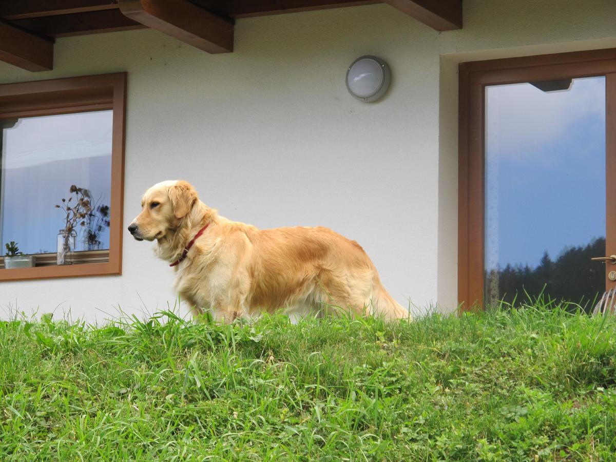 Il Cardo Trentino Apartment Bedollo Exterior photo