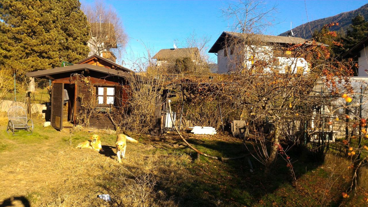 Il Cardo Trentino Apartment Bedollo Exterior photo